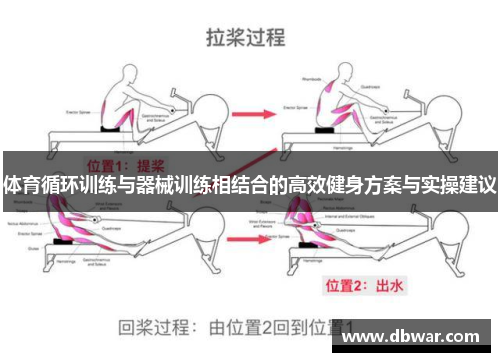 体育循环训练与器械训练相结合的高效健身方案与实操建议