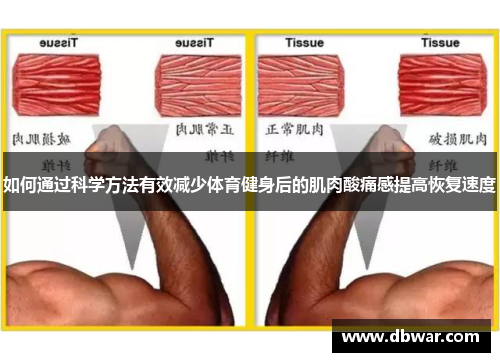 如何通过科学方法有效减少体育健身后的肌肉酸痛感提高恢复速度