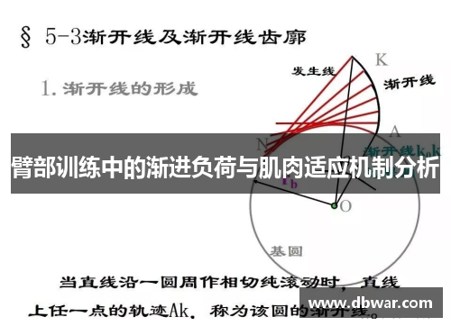臂部训练中的渐进负荷与肌肉适应机制分析
